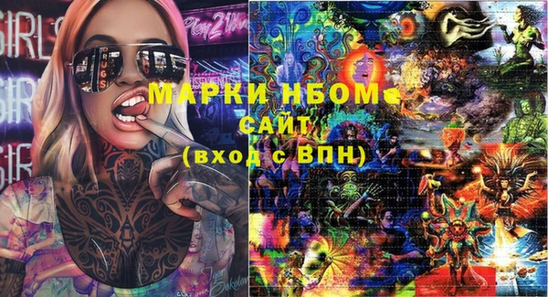 скорость Щигры