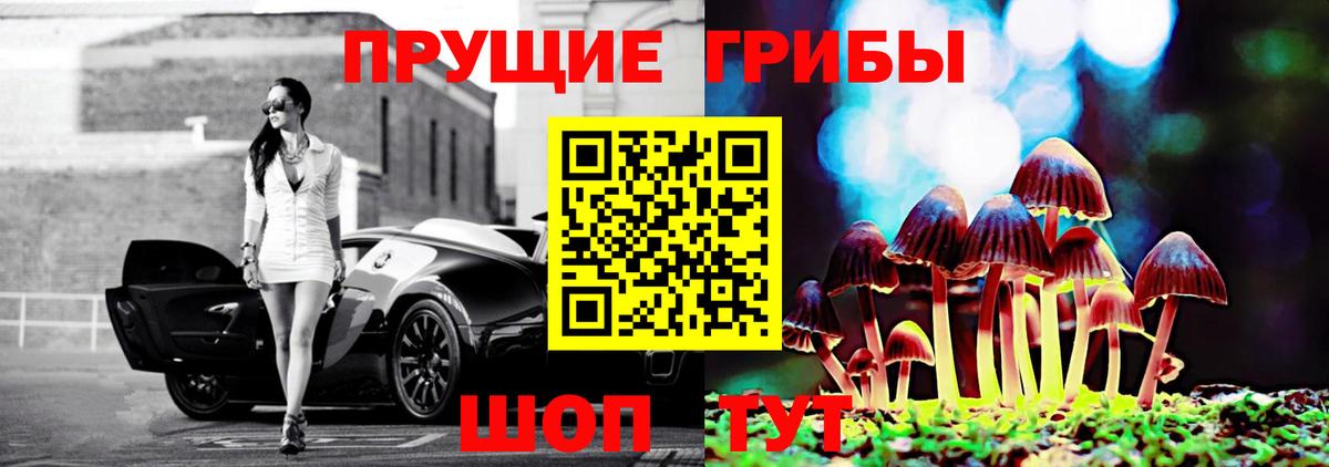 Галлюциногенные грибы мицелий  Псилоцибиновые грибы Cubensis  Кимовск 