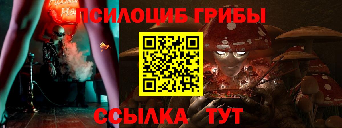 NBOMe Кимовск
