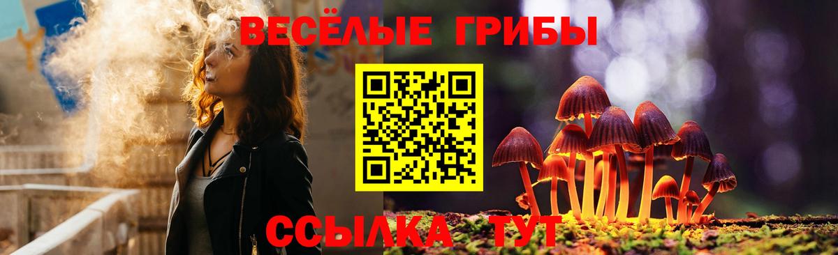 Галлюциногенные грибы Cubensis Кимовск